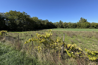 achat maison chasseneuil-du-poitou 86360