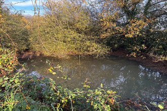 achat maison chateau-gontier 53200