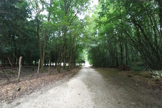 achat maison chateau-l-eveque 24460