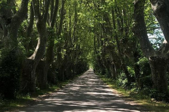achat maison chateauneuf-du-pape 84230
