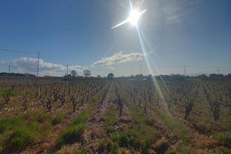 achat maison chateauneuf-du-pape 84230