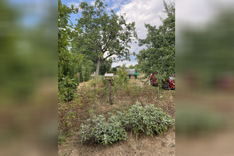achat maison chateauneuf-la-foret 87130