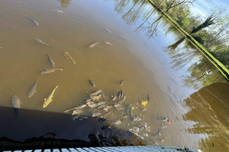 achat maison chateauponsac 87290