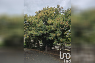 achat maison chemille 49120