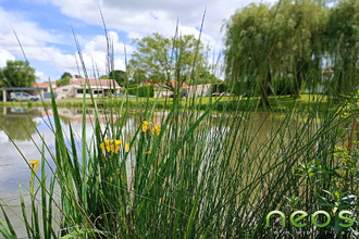 achat maison chemille 49120