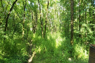 achat maison cherves-richemt 16370