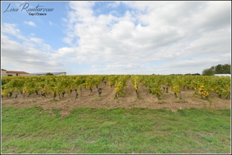 achat maison clisson 44190