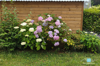 achat maison clohars-carnoet 29360