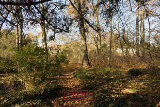 achat maison combleux 45800