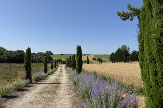 achat maison condom 32100