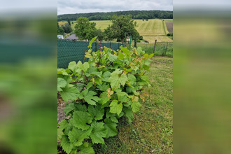 achat maison contrexeville 88140