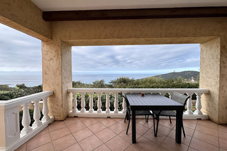 achat maison corbara 20256