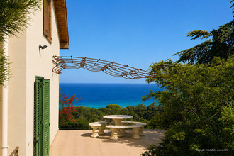 achat maison corbara 20256