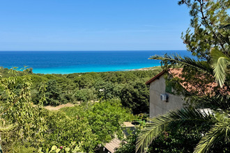 achat maison corbara 20256