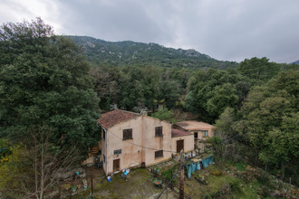 achat maison corte 20250