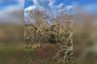 achat maison coulounieix-chamiers 24660