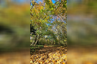 achat maison croix 59170