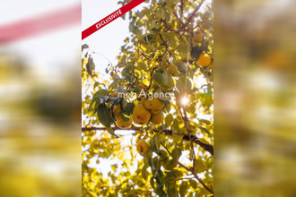 achat maison cubzac-les-ponts 33240