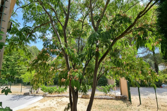 achat maison cuges-les-pins 13780