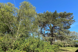 achat maison cuisery 71290