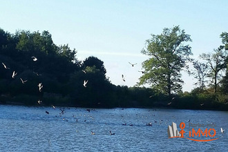 achat maison dammarie-en-puisaye 45420