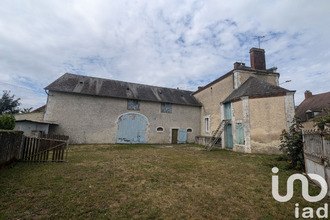 achat maison dammarie-en-puisaye 45420
