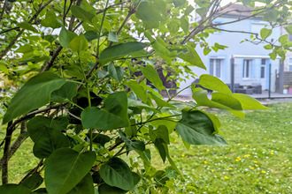 achat maison dole 39100