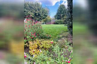 achat maison doudeville 76560