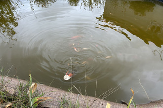 achat maison drevant 18200