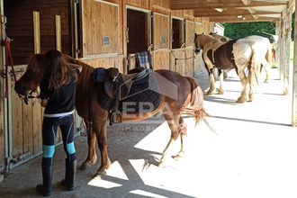 achat maison dunkerque 59240