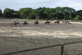 achat maison dunkerque 59240