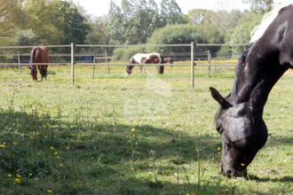 achat maison dunkerque 59240
