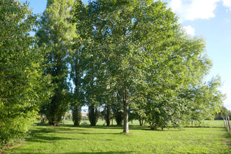 achat maison echire 79410