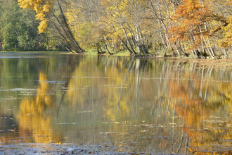 achat maison ecot-la-combe 52700