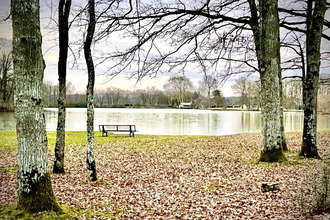 achat maison egriselles-le-bocage 89500