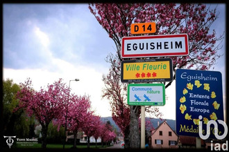 achat maison eguisheim 68420