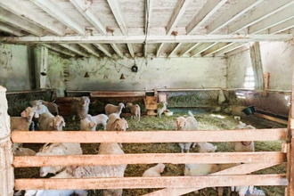 achat maison engomer 09800