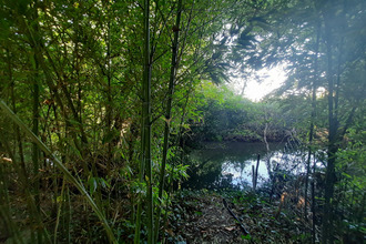 achat maison entraigues-sur-la-sorgue 84320