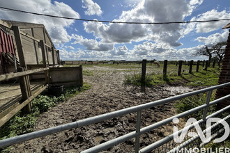 achat maison eringhem 59470