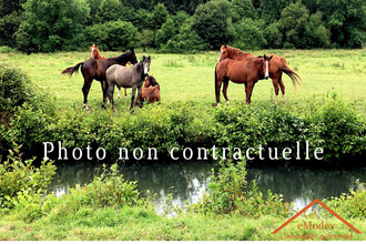 achat maison erstein 67150