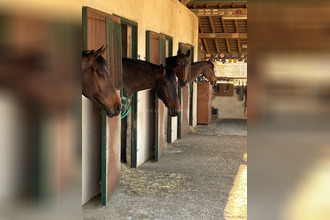 achat maison evreux 27000