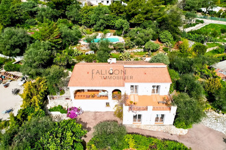 achat maison falicon 06950