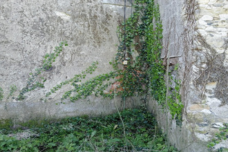 achat maison faymoreau 85240