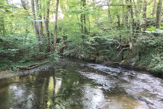 achat maison ferrieres-sur-sichon 03250