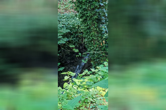 achat maison festigny 51700