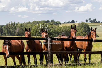 achat maison flavignac 87230