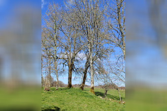 achat maison flayat 23260