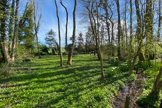 achat maison fleury-la-vallee 89113