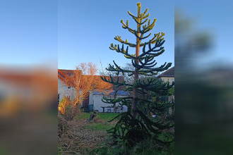 achat maison fontenay-le-fleury 78330