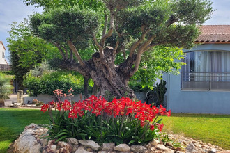 achat maison frontignan 34110